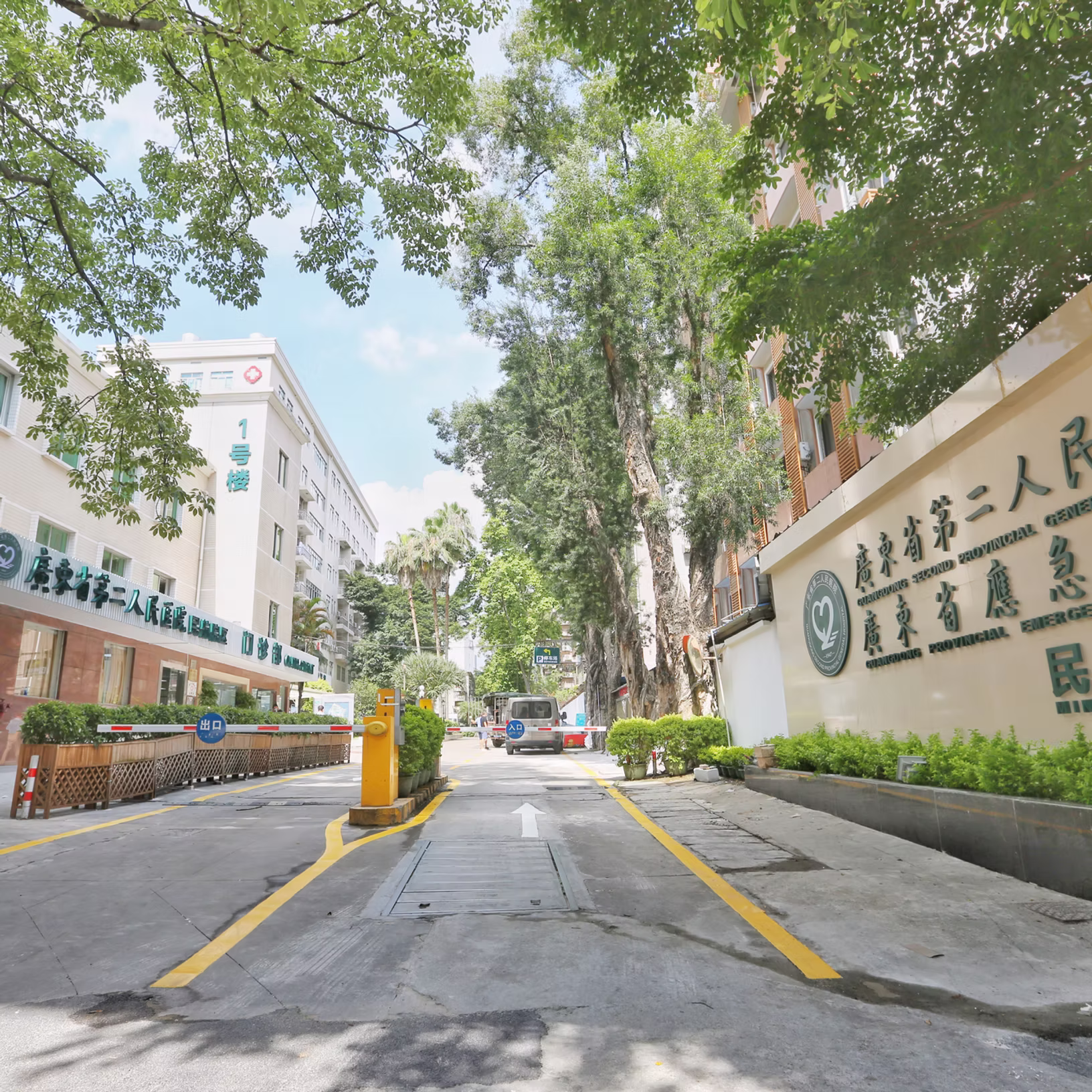 The world&rsquo;s first chest wall surgery specialist hospital established