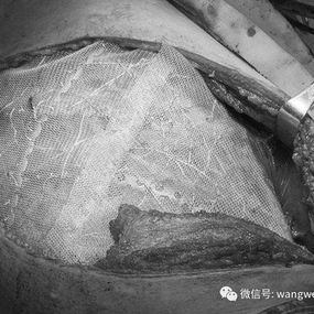 The external surface of the MatrixRIBs was lined with a layer of fibrous membrane