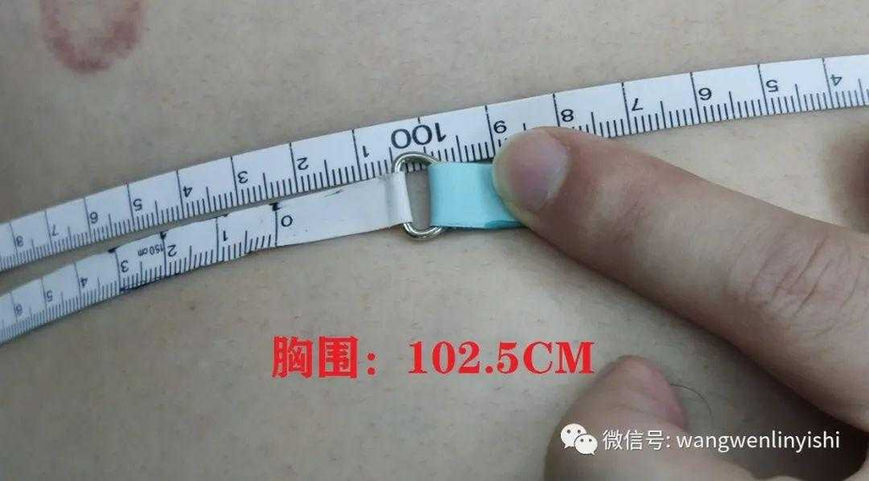 The chest circumference measures 102.5 cm