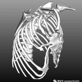 Image test before the surgery